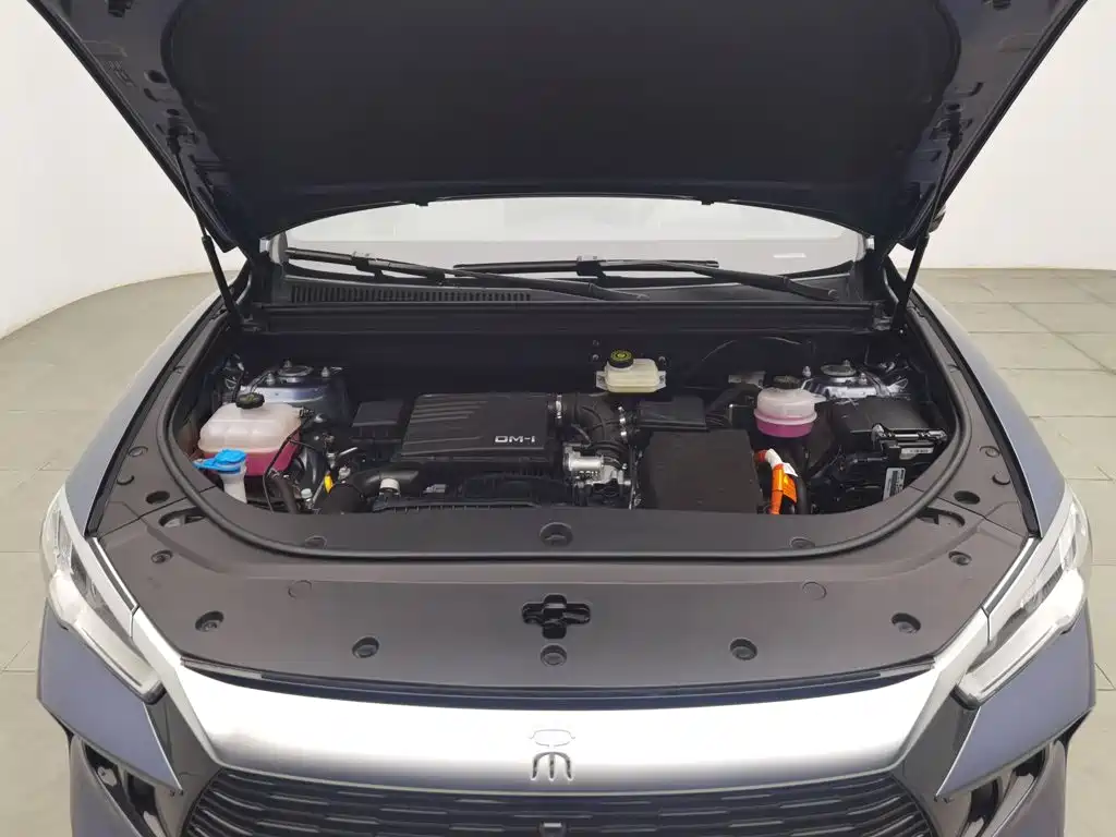 BYD Pro New Energy — миниатюра 6