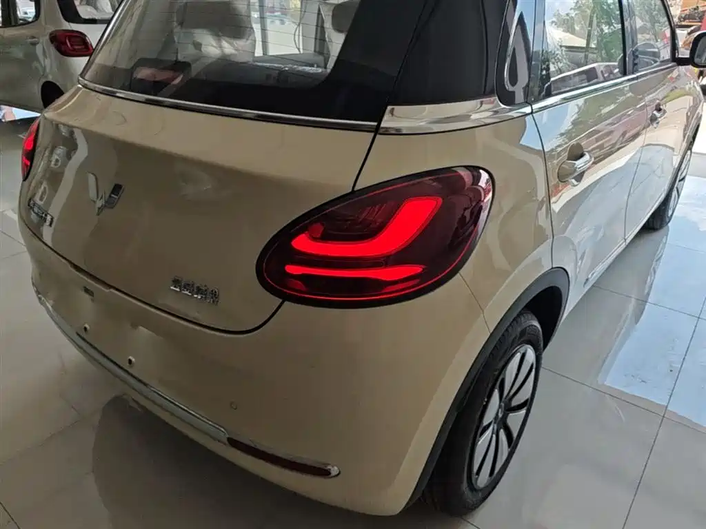 Wuling Binguo 2025 333km Enjoy