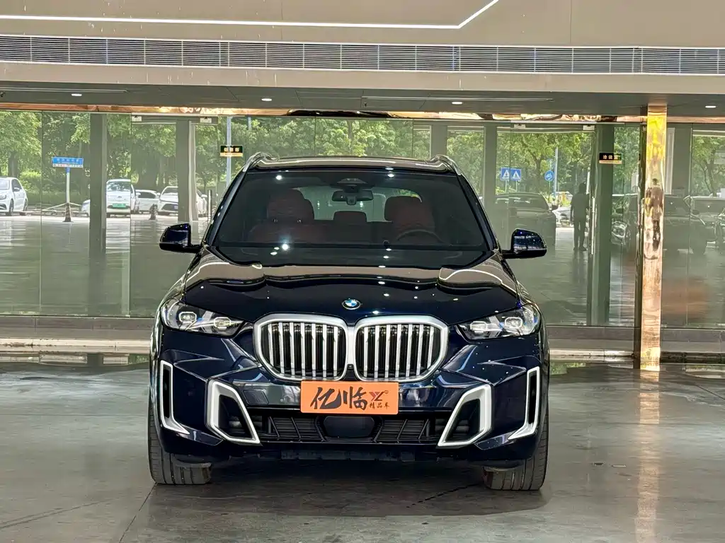 BMW X5 — миниатюра 2