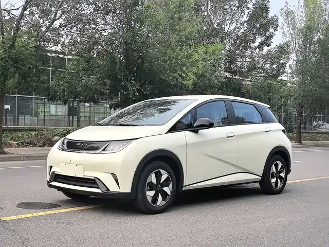2026 BYD Dolphin