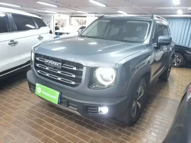 2021 Haval Big Dog