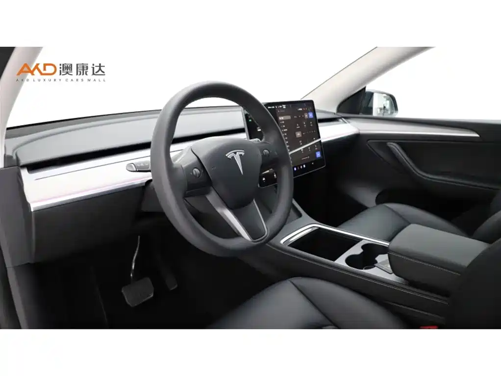 Tesla Model Y — миниатюра 6