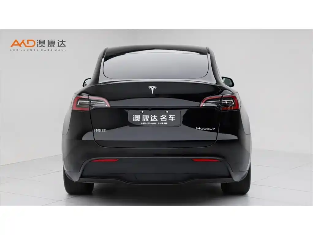 Tesla Model Y — миниатюра 4