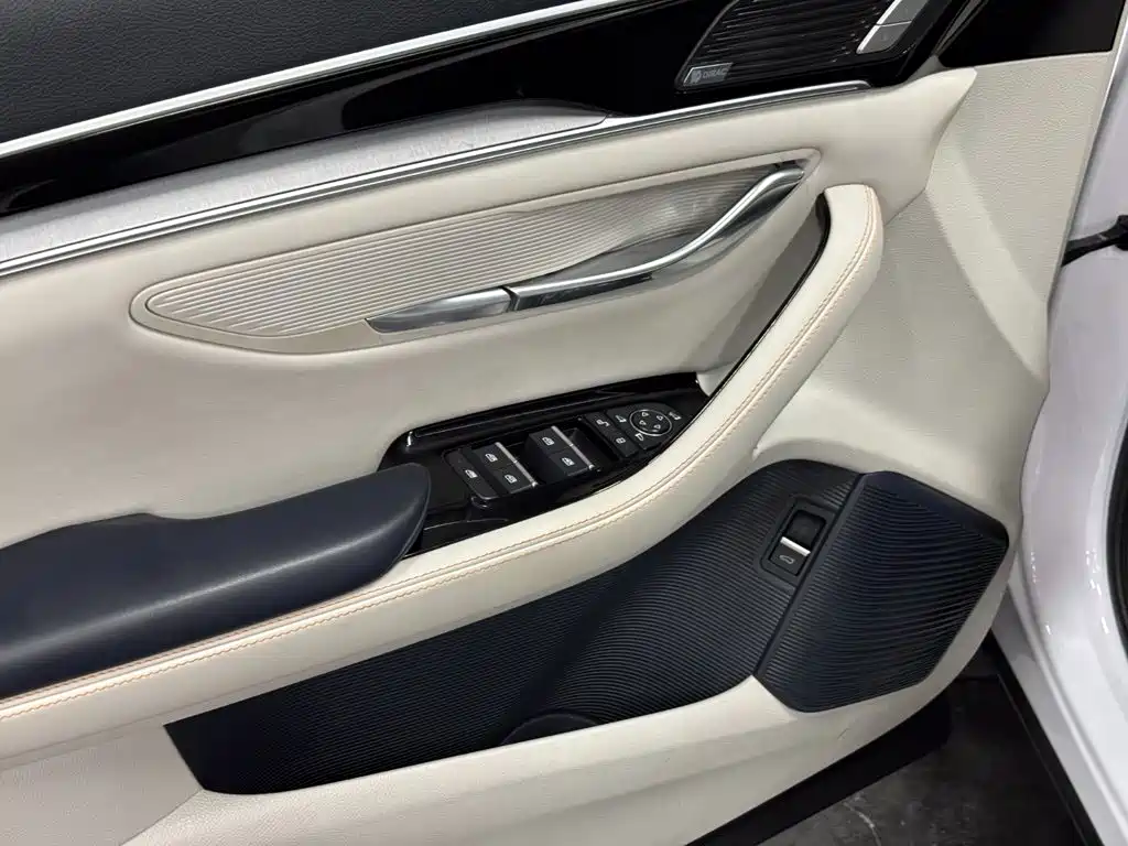 BYD PLUS New Energy — миниатюра 12