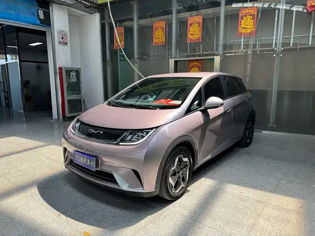 2023 BYD Dolphin