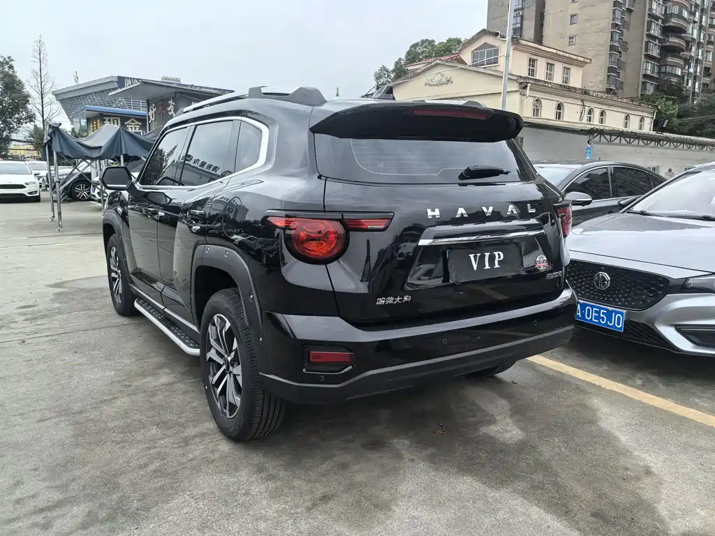 Haval Big Dog PLUS — миниатюра 12