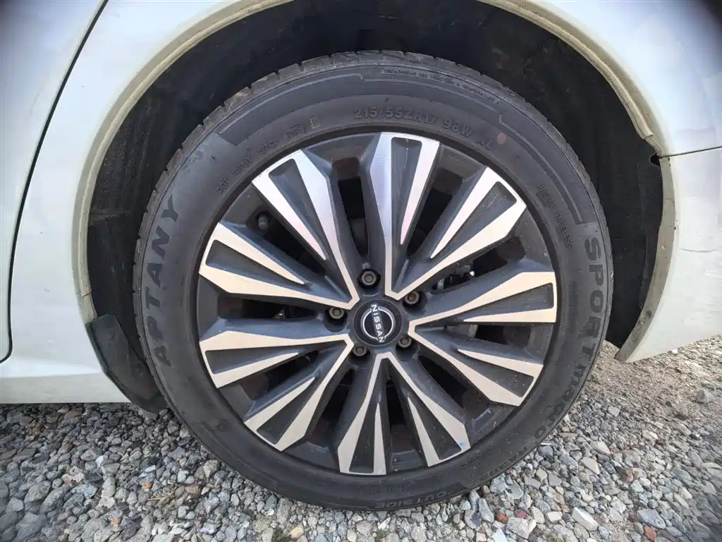 FANG CHENG BAO LEOPARD 5