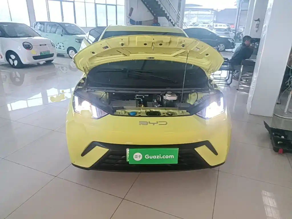 BYD Seagull — миниатюра 20