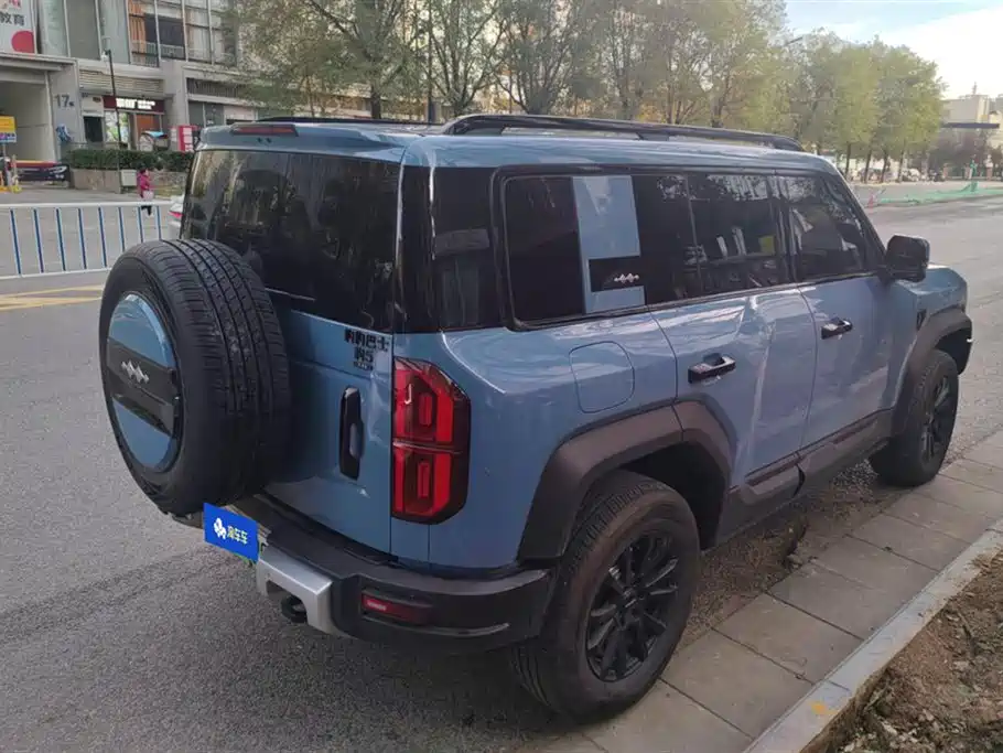 FANG CHENG BAO LEOPARD 5