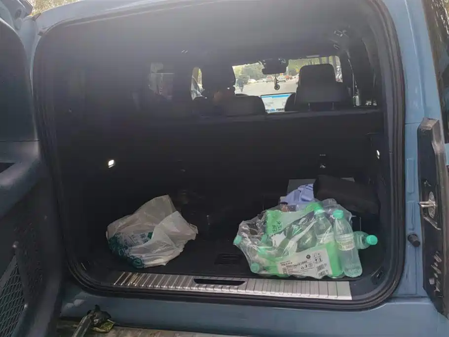 FANG CHENG BAO LEOPARD 5