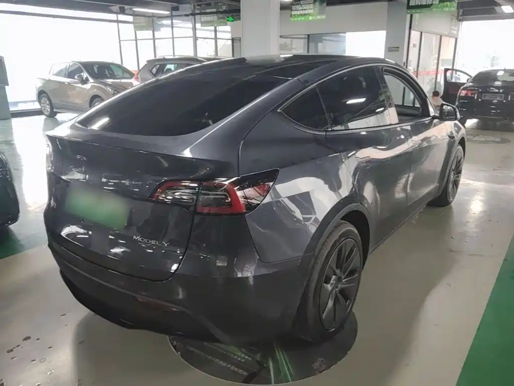 Tesla Model Y — миниатюра 7