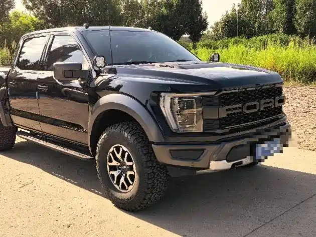 Ford F-150 Raptor — миниатюра 2
