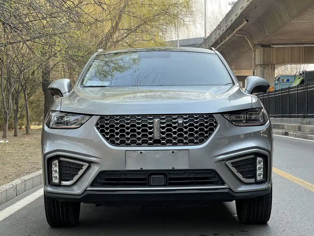 WEI PAI WEI BRAND VV5