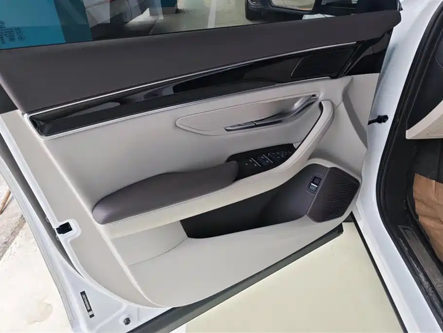 BYD SONGJIANG NEW ENERGY