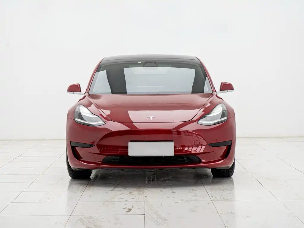 Tesla Model 3 2019