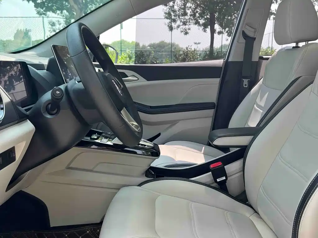 BYD Yuan Pro Pro 2021 401KM Luxury