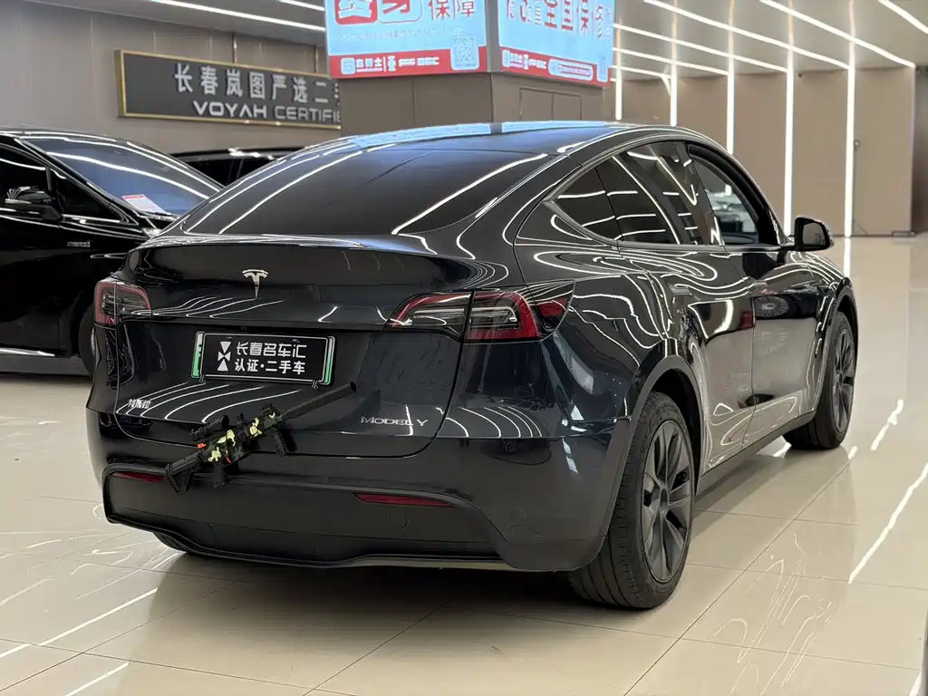 Tesla Model Y — миниатюра 4
