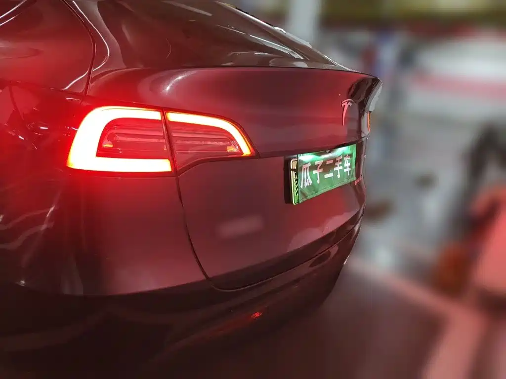 Tesla Model Y — миниатюра 3