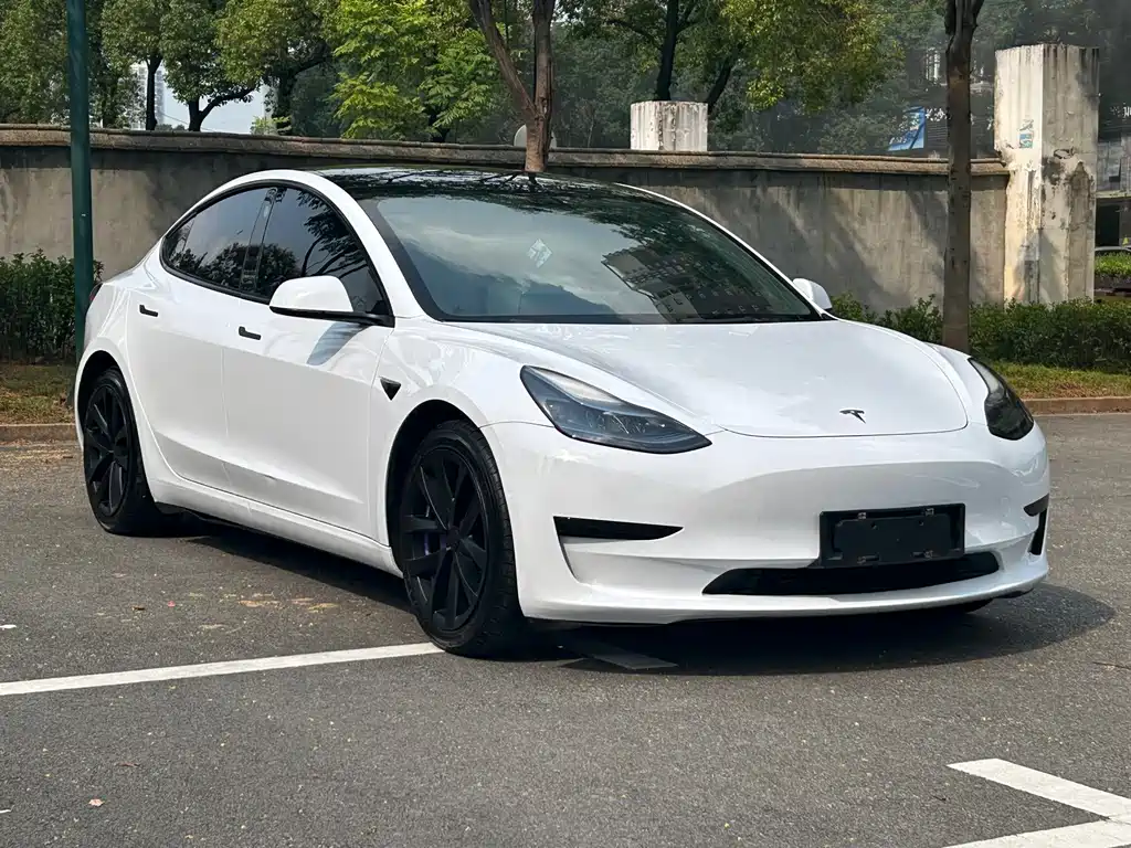 Tesla Model 3 — миниатюра 4