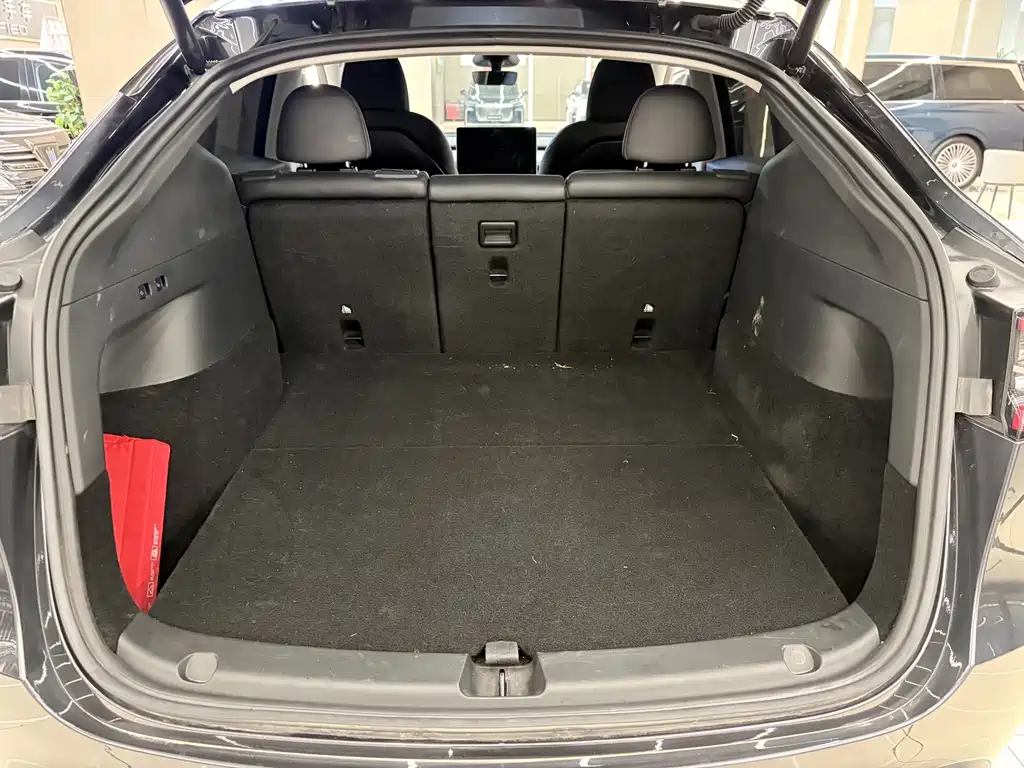 Tesla Model Y — миниатюра 8