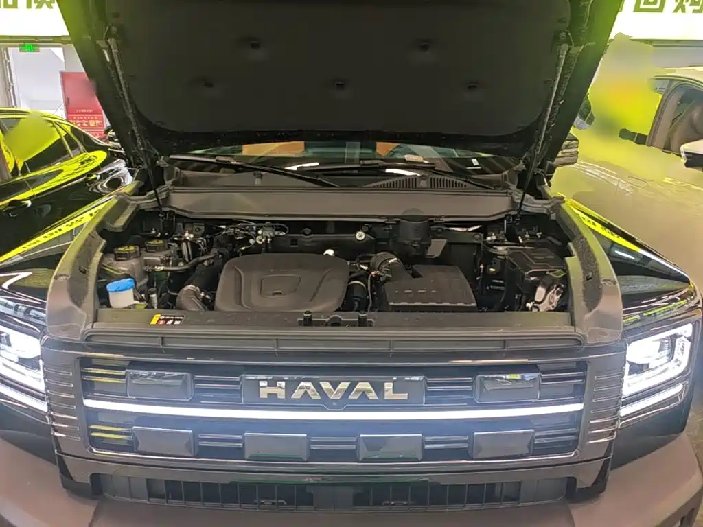 Haval Menglong New Energy — миниатюра 20