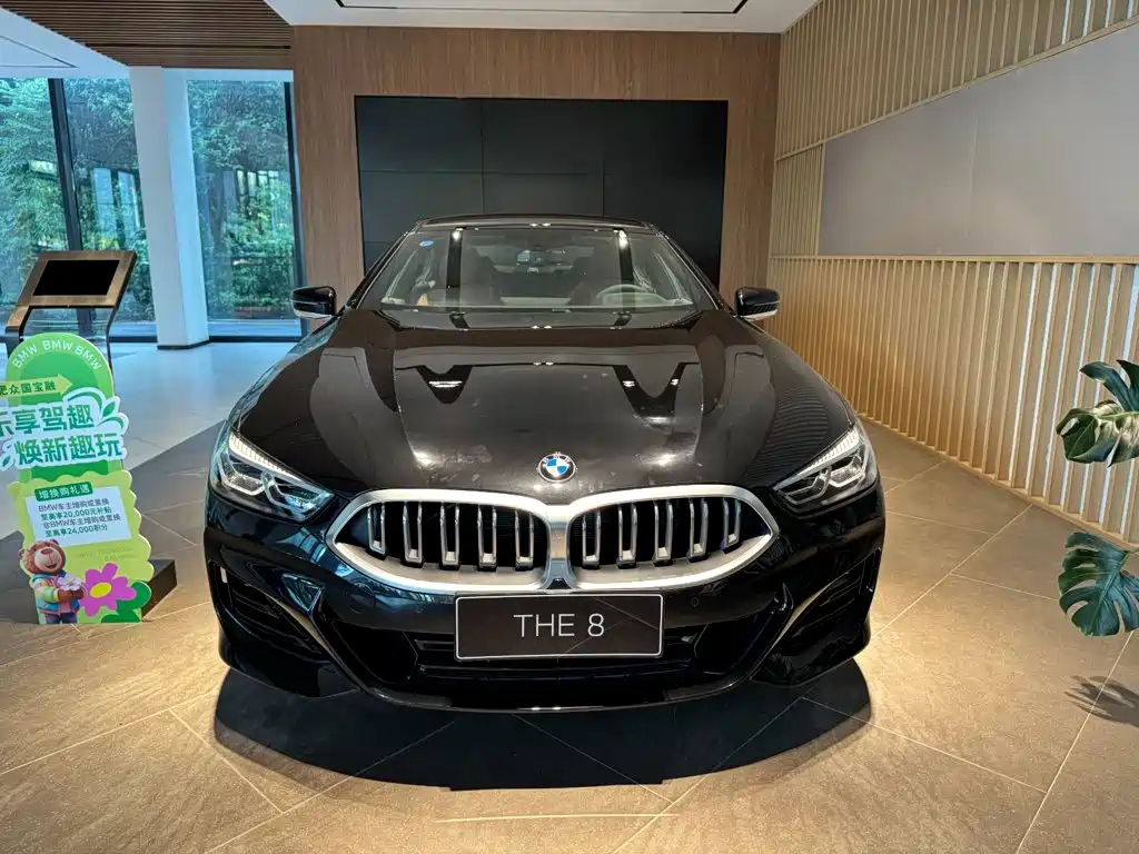 BMW 8 Series — миниатюра 5