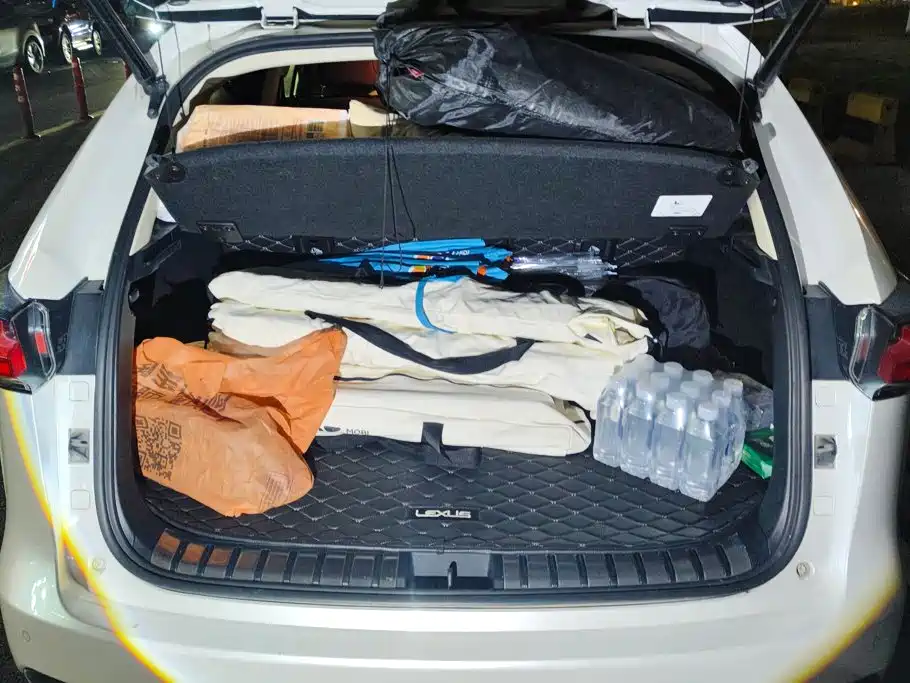 Lexus NX — миниатюра 4