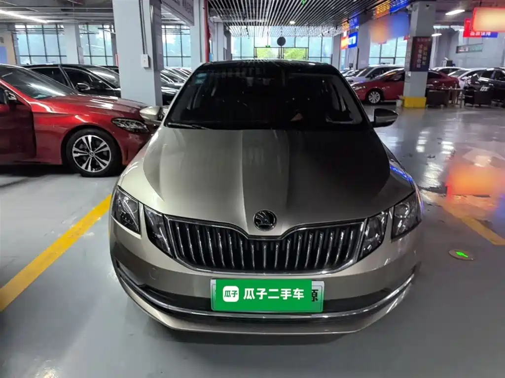 Skoda Octavia 2019 1.5L AT Luxury VI