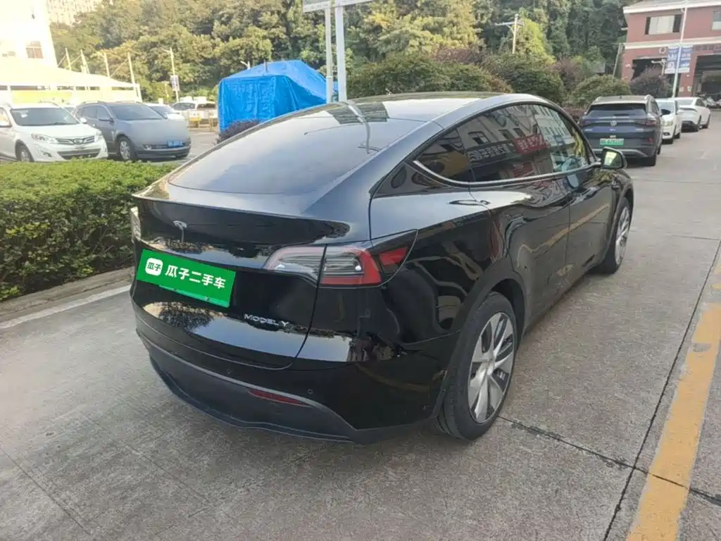 Tesla Model Y — миниатюра 7