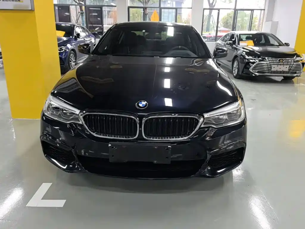 BMW 5 Series — миниатюра 3