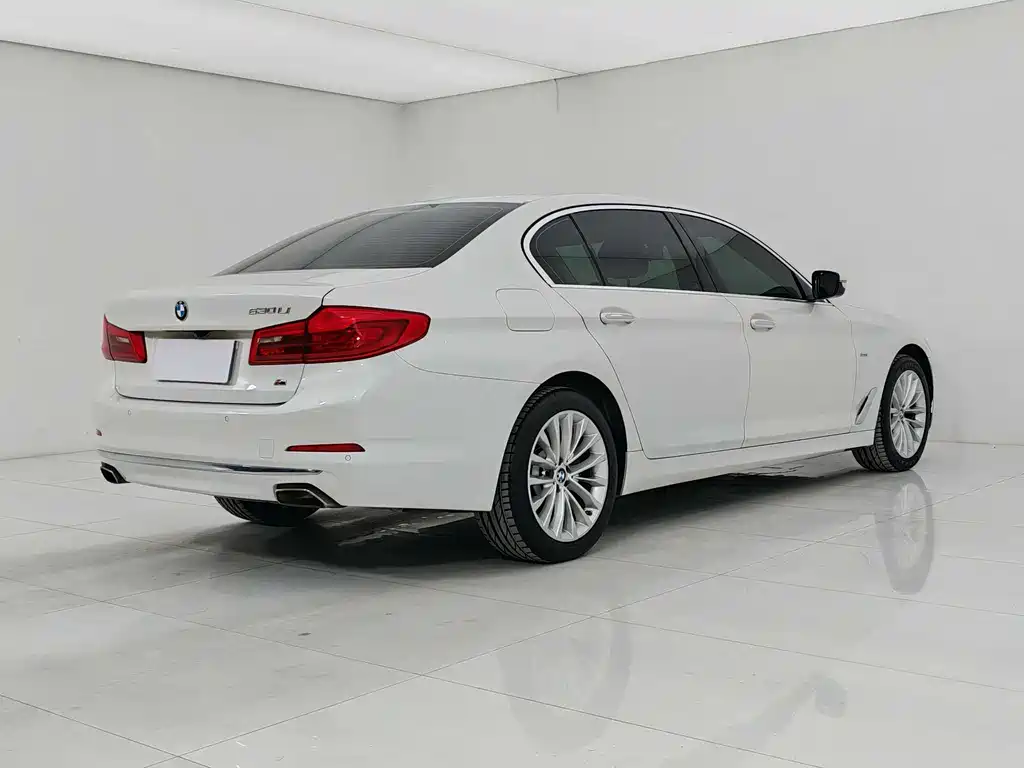 BMW 5 Series 5 2018 525Li Luxury