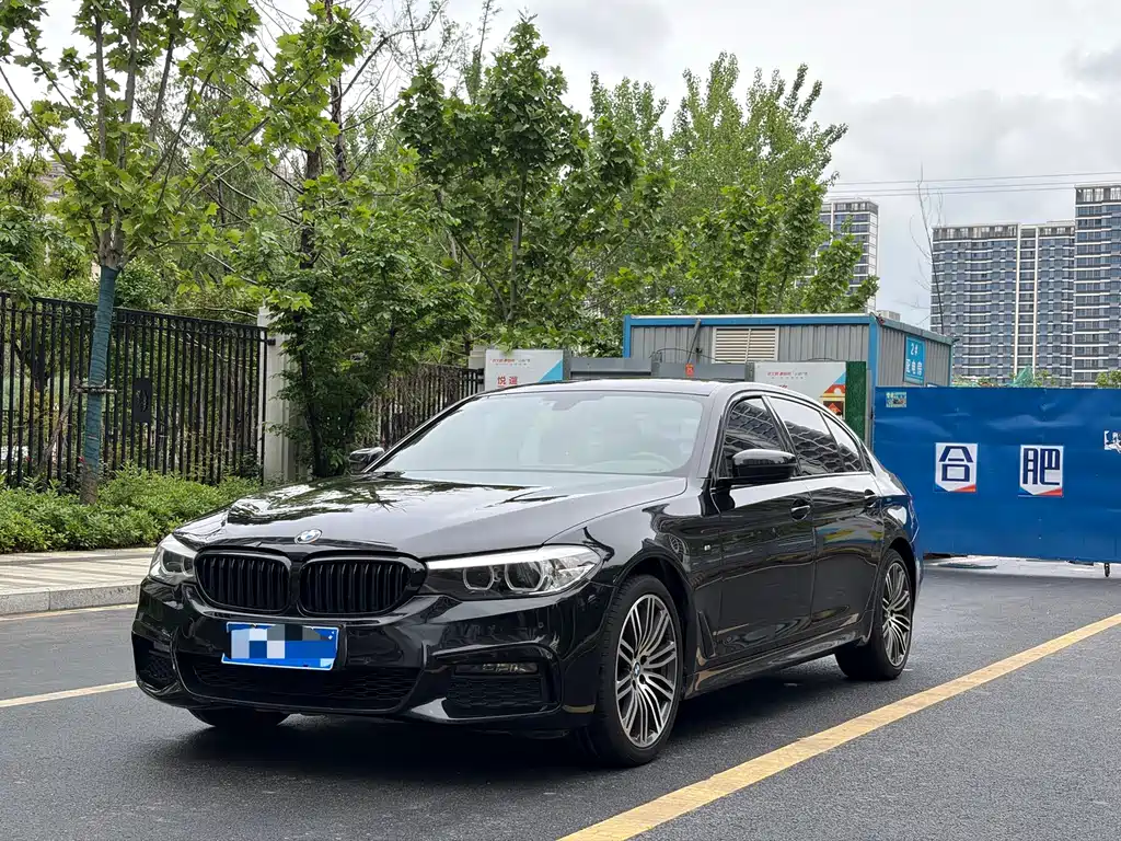 BMW 5 Series 2019