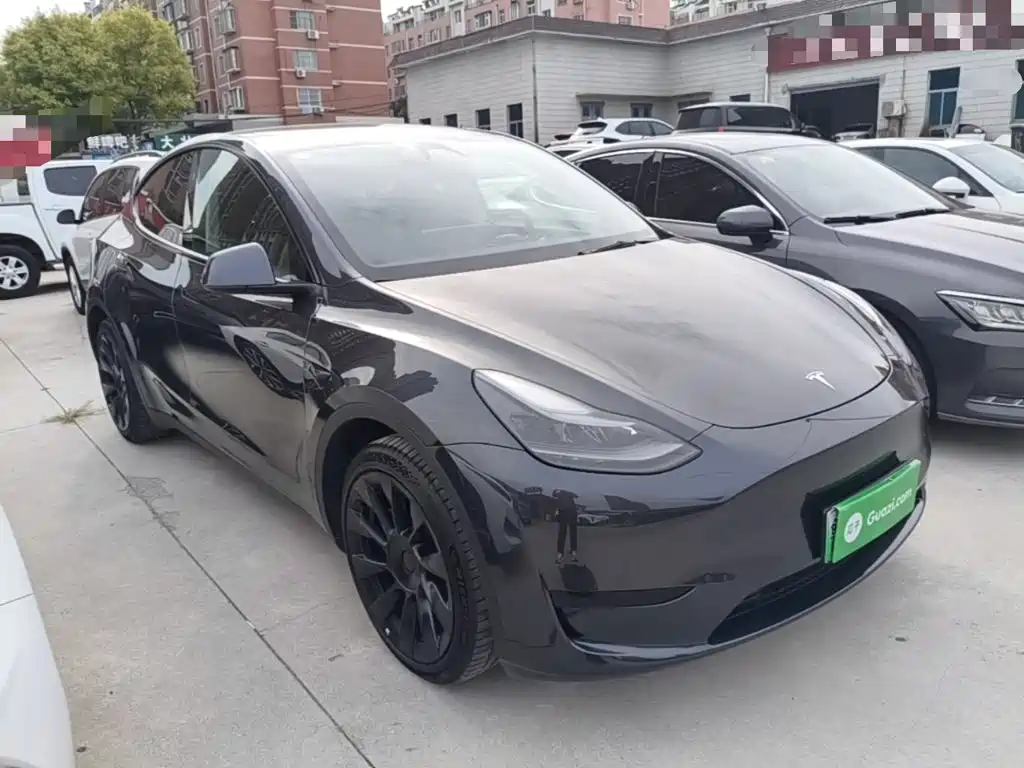 Tesla Model Y — миниатюра 4