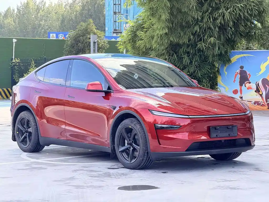 Tesla Model Y — миниатюра 3