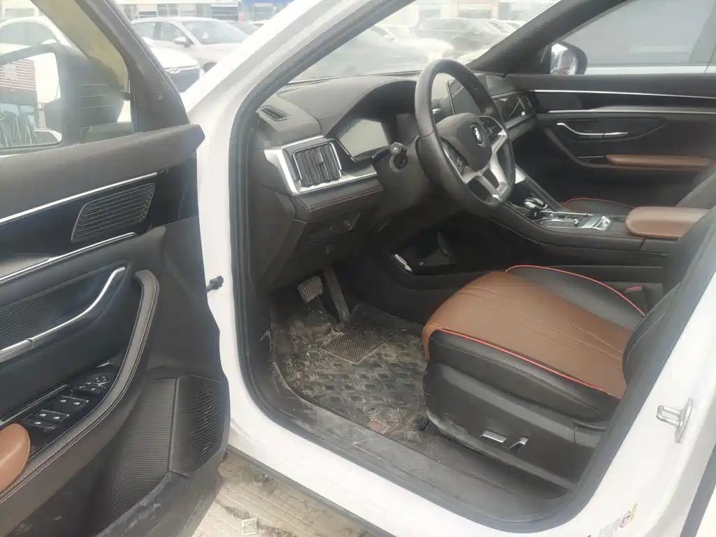 BYD PLUS — миниатюра 4