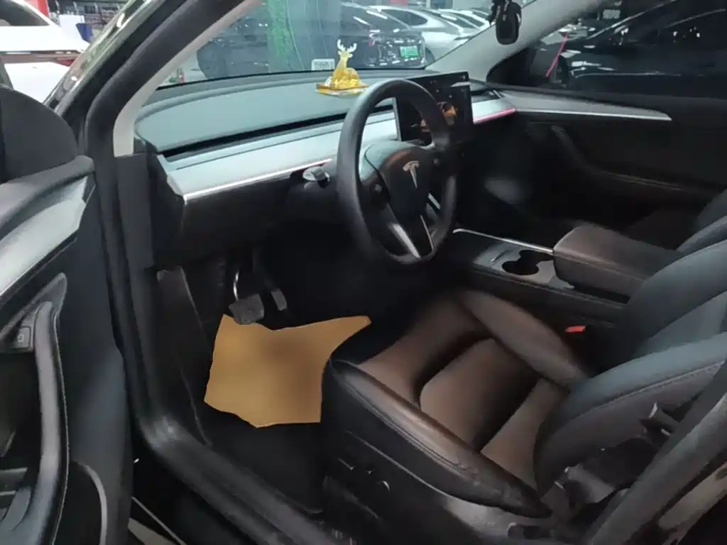 Tesla Model Y — миниатюра 16
