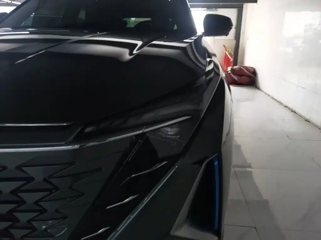 Oshan Oushang Z6 New Energy — миниатюра 24
