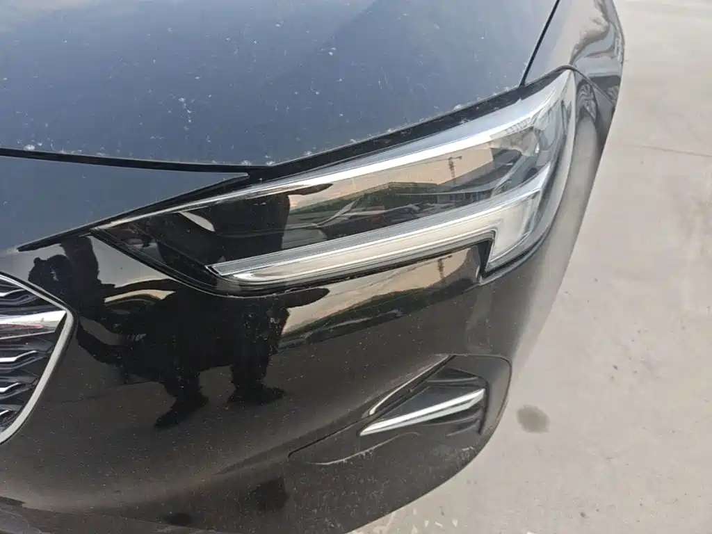 Buick Regal — миниатюра 24