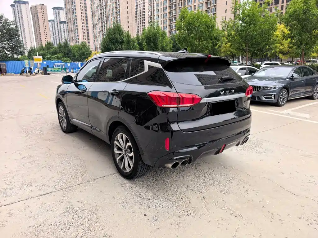 Wey Wey VV6 — миниатюра 13