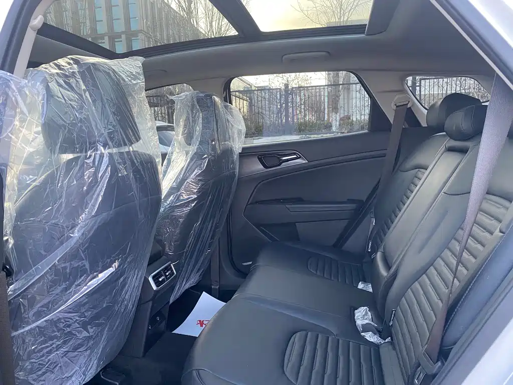 KIA LION PLATINUM EXPANDS THE WORLD