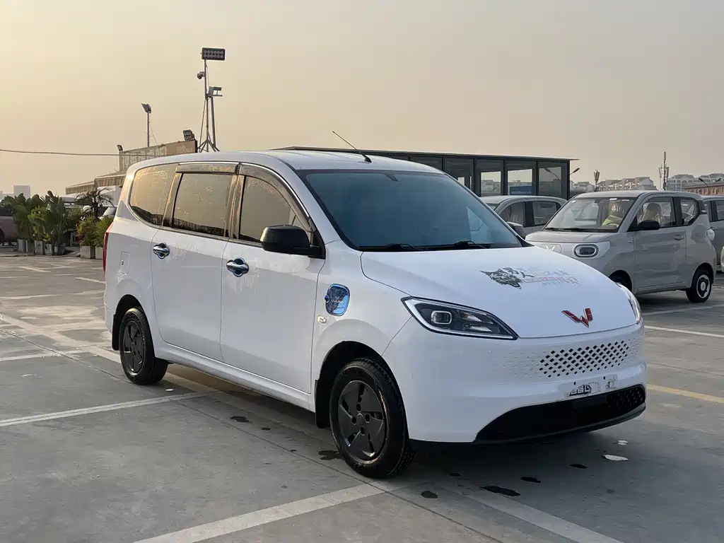 WULING WULING HONGGUANG NEW ENERGY