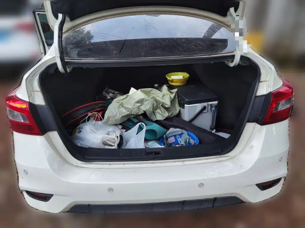 Nissan Sylphy — миниатюра 20