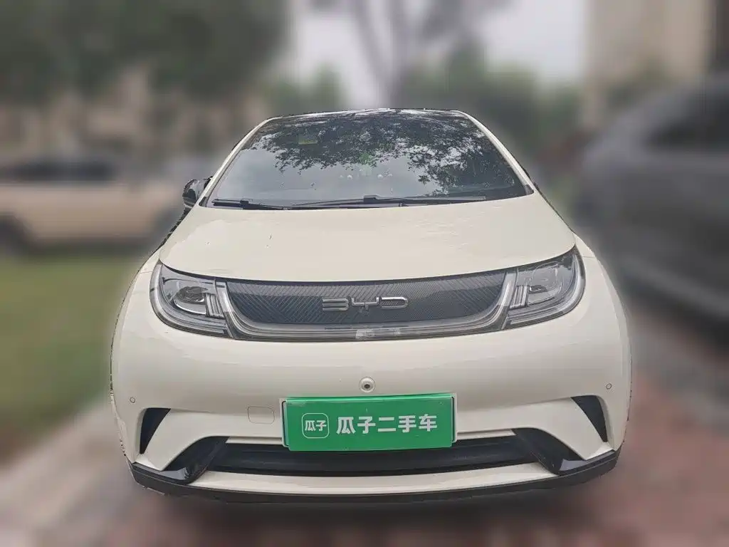 BYD Dolphin — миниатюра 2