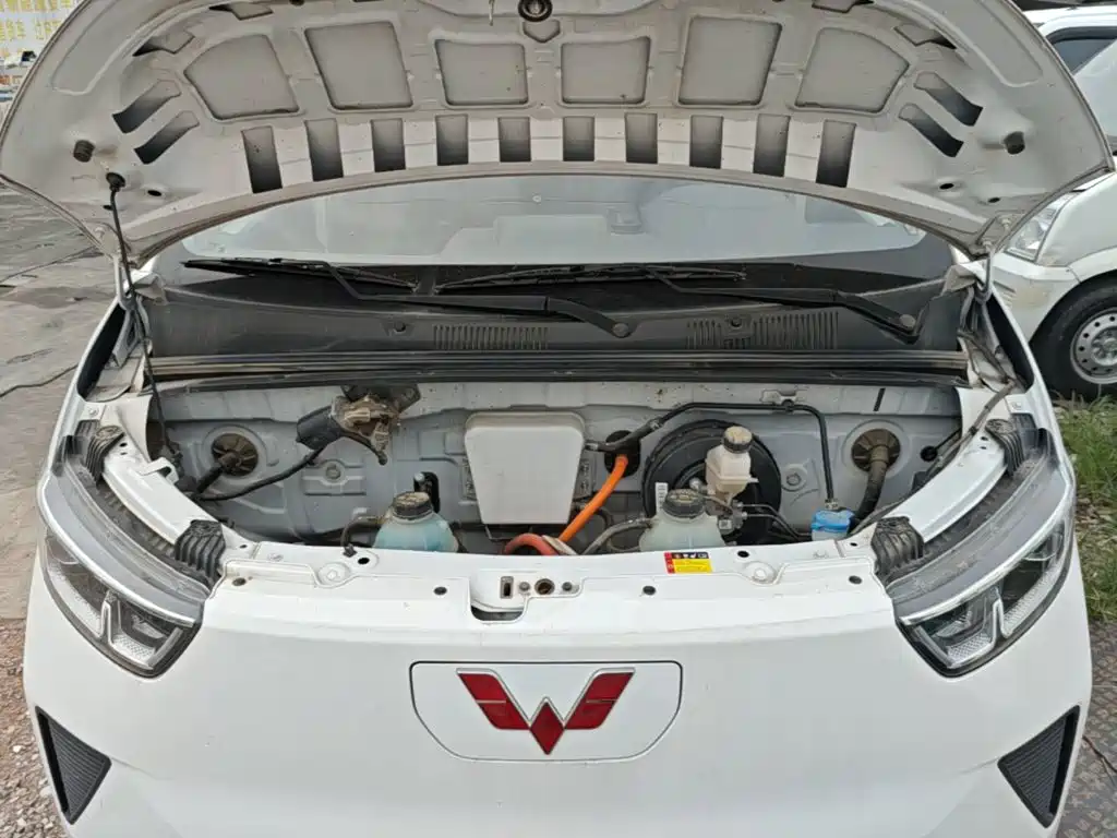 Wuling Yangguang — миниатюра 20