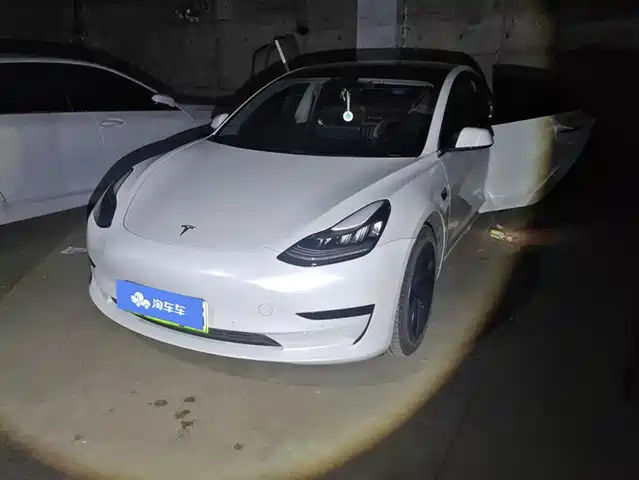 TESLA MODEL 3 2020