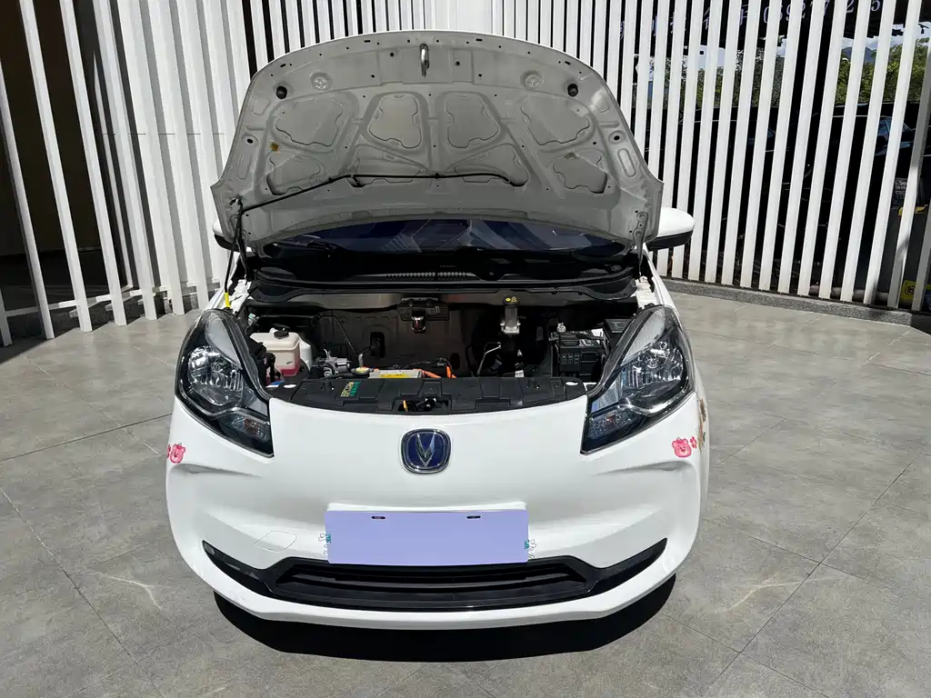 CHANGAN BENBEN E STAR