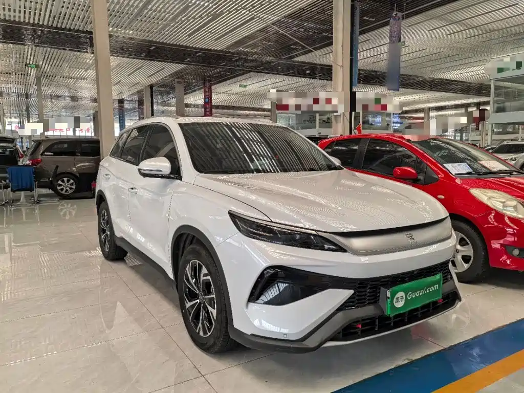 BYD Pro New Energy — миниатюра 4