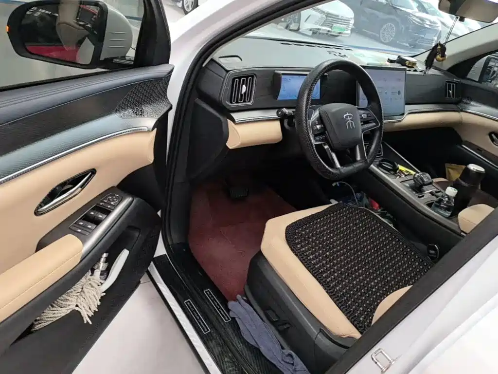 BYD Pro New Energy — миниатюра 16