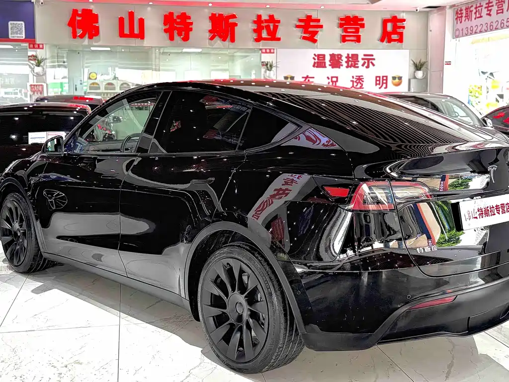 Tesla Model Y — миниатюра 3