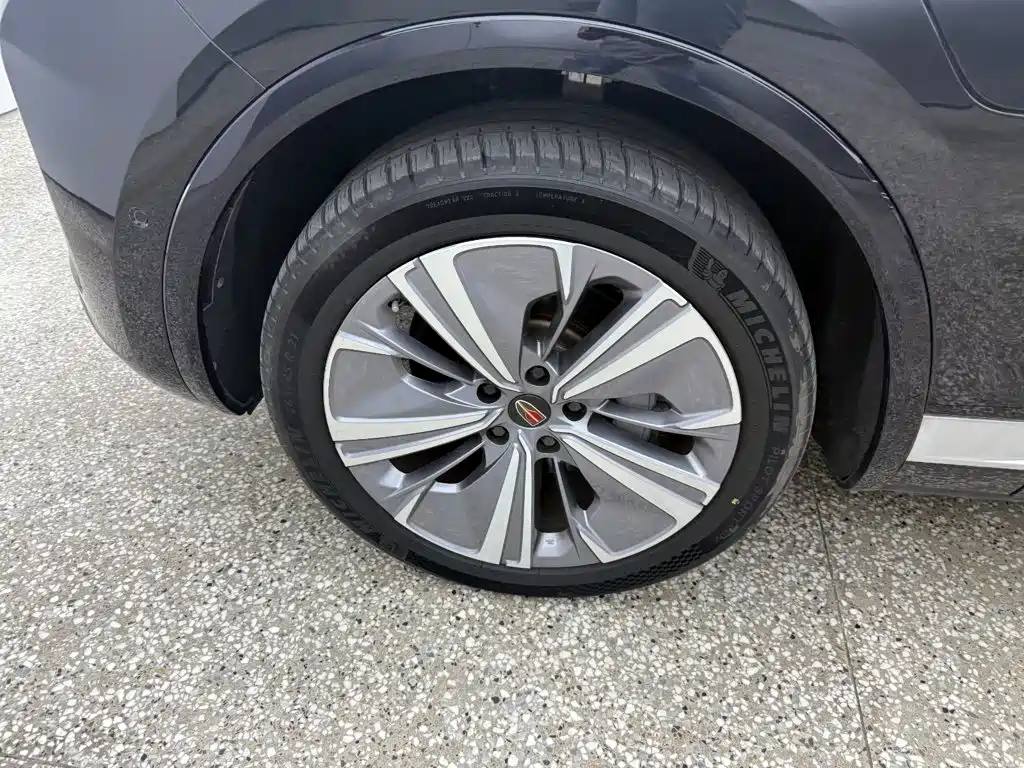 Hongqi Hongqi E-HS9 — миниатюра 15